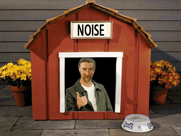 noise-in-the-dog-house