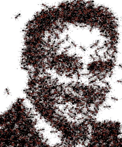 ant_face